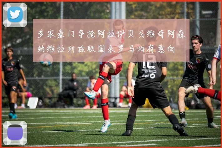 多家豪门争抢阿拉伊贝戈维奇阿森纳维拉利兹联国米罗马均有意向
