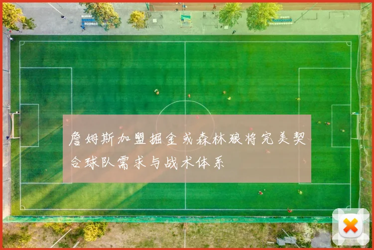 詹姆斯加盟掘金或森林狼将完美契合球队需求与战术体系